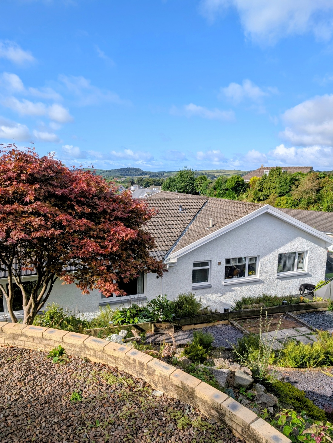 10 Holroyd Road